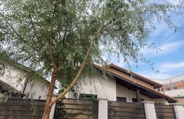 Casa 3 camere, 80mp utili, Peajba Nouă