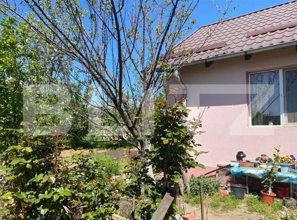 Casa de vânzare 4 camere Bariera Valcii - 126257CV | BLITZ Craiova | Poza2