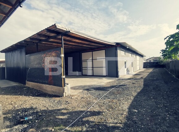 Spațiu industrial de închiriat Balta Verde - 126357SII | BLITZ Craiova | Poza1