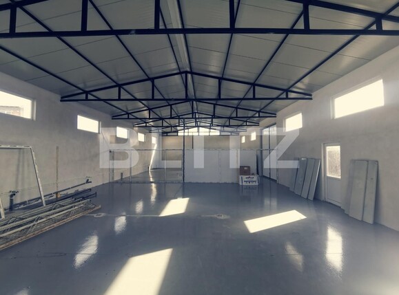 Spațiu industrial de închiriat Balta Verde - 126357SII | BLITZ Craiova | Poza5