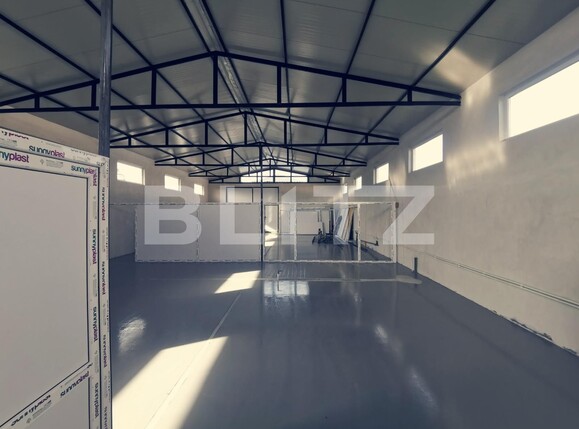 Spațiu industrial de închiriat Balta Verde - 126357SII | BLITZ Craiova | Poza3