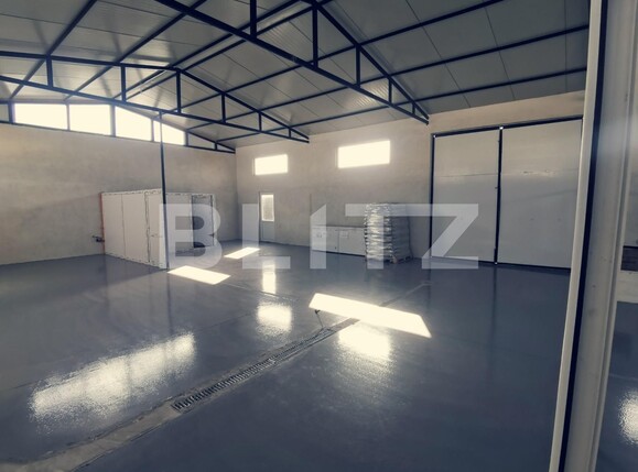 Spațiu industrial de închiriat Balta Verde - 126357SII | BLITZ Craiova | Poza4