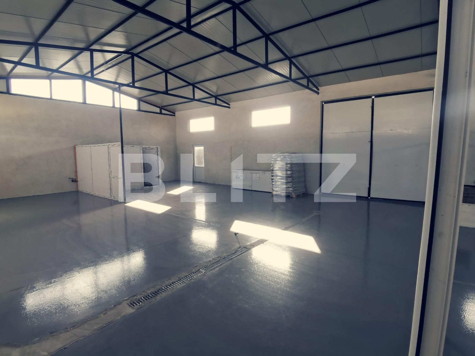 Spațiu industrial de închiriat Balta Verde - 126357SII | BLITZ Craiova | Poza4