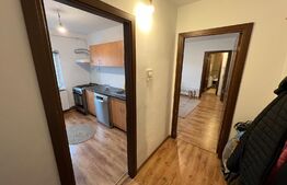 Apartament de 2 camere în Craiovița Nouă, gata de mutat!