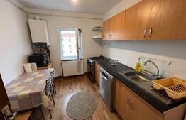 Apartament de 2 camere în Craiovița Nouă, gata de mutat!
