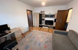 Apartament de 2 camere în Craiovița Nouă, gata de mutat!