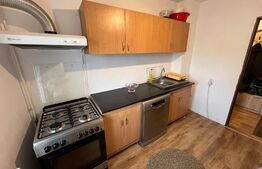 Apartament de 2 camere în Craiovița Nouă, gata de mutat!