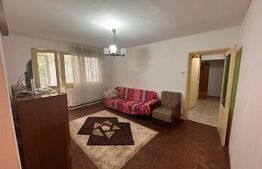 Apartament de 3 camere, pet friendly, centrala termica, zona Orizont