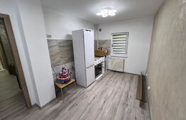 Apartament de 2 camere modern renovat în Craiovița Nouă