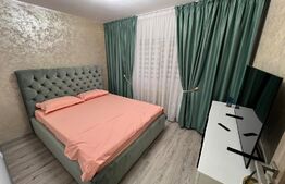 Apartament de 2 camere modern renovat în Craiovița Nouă