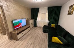 Apartament de 2 camere modern renovat în Craiovița Nouă