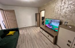 Apartament de 2 camere modern renovat în Craiovița Nouă