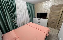 Apartament de 2 camere modern renovat în Craiovița Nouă