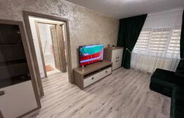 Apartament de 2 camere modern renovat în Craiovița Nouă