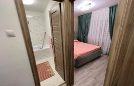 Apartament de 2 camere modern renovat în Craiovița Nouă