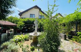 Casa P+M 212 mp utili, 550 mp teren, zona Ford