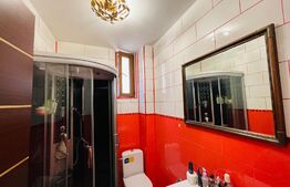 Casa P+M 212 mp utili, 550 mp teren, zona Ford