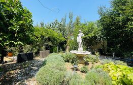 Casa P+M 212 mp utili, 550 mp teren, zona Ford