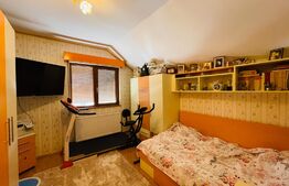 Casa P+M 212 mp utili, 550 mp teren, zona Ford