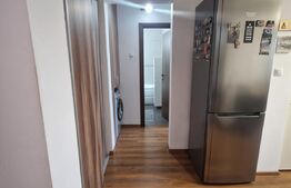 Apartament de 2 camere, semidecomandat, zona Craiovita Noua