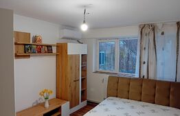 Camera de camin transformata in garsoniera, lux, Valea Rosie 