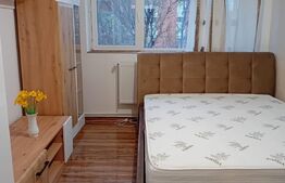 Camera de camin transformata in garsoniera, lux, Valea Rosie 