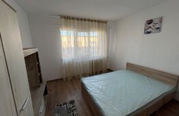 Cameră de cămin modernă în cartierul Lăpuș, zona Intim