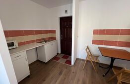 Cameră de cămin modernă în cartierul Lăpuș, zona Intim