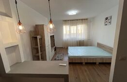 Cameră de cămin modernă în cartierul Lăpuș, zona Intim