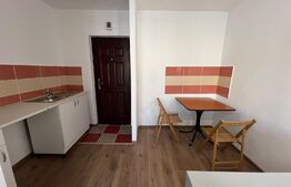 Cameră de cămin modernă în cartierul Lăpuș, zona Intim