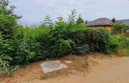 Teren intravilan 1811 mp, cu utilități, zona Malu Mare!