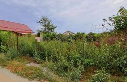 Teren intravilan 1811 mp, cu utilități, zona Malu Mare!