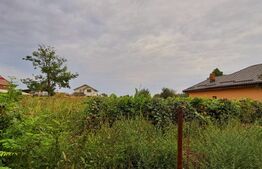 Teren intravilan 1811 mp, cu utilități, zona Malu Mare!