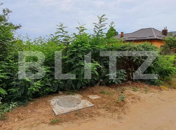 Teren de vânzare Malu Mare - 126844TV | BLITZ Craiova | Poza2