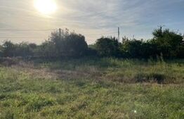 Casa plan parter, teren 2085 mp, Cosoveni