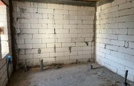 Casa plan parter, teren 2085 mp, Cosoveni