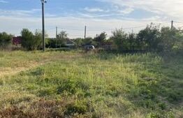 Casa plan parter, teren 2085 mp, Cosoveni