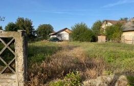 Casa plan parter, teren 2085 mp, Cosoveni