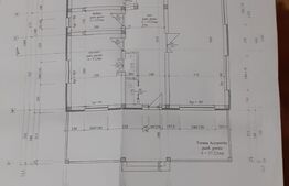 Casa plan parter, teren 836 mp, Cosoveni