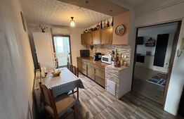 Apartament de 2 camere decomandat în Cartierul Brazda lui Novac