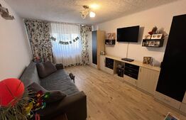 Apartament de 2 camere decomandat în Cartierul Brazda lui Novac