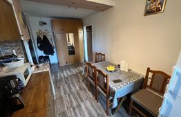 Apartament de 2 camere decomandat în Cartierul Brazda lui Novac