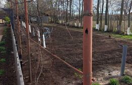 Casa 2 camere, 48 mp, teren, 2200 mp, zona Mischii