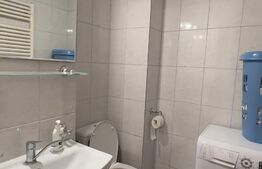 Apartament de 3 camere decomandat, zona Paltinis