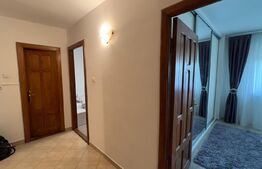 Apartament de 3 camere decomandat, zona Paltinis