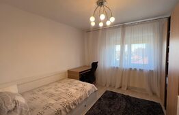 Apartament de 3 camere decomandat, zona Paltinis