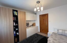 Apartament de 3 camere decomandat, zona Paltinis