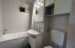 Apartament de 3 camere decomandat, zona Paltinis