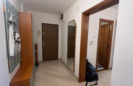 Apartament de 3 camere decomandat, zona Paltinis