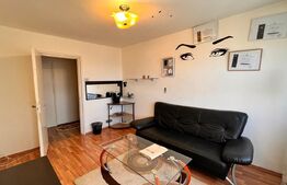 Apartament de 3 camere decomandat, Valea rosie, zona Piata